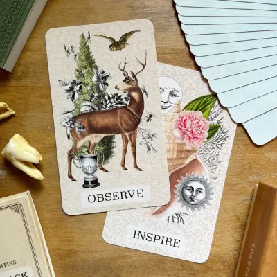 Coastal Curiosities Oracle Naturalist Edition + Specimen Pack