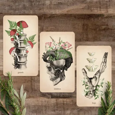 Oracle Of Oddities 2025
