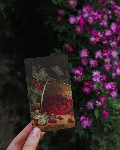 Foraged flowers and tarot cards arranged on fabric outdoors