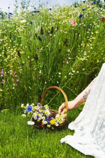 Wildflowers and herbs gathered for Enyovden